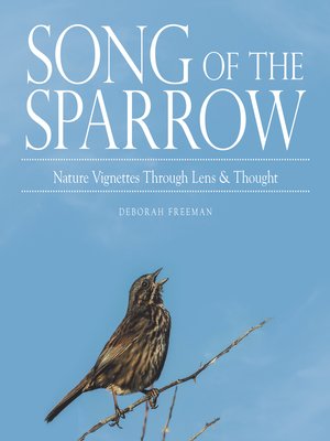 cover image of Song of the Sparrow